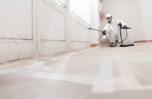 24/7 Emergency Attic Mold Removal experts in Asbury Park, NJ